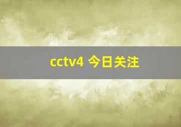 cctv4 今日关注